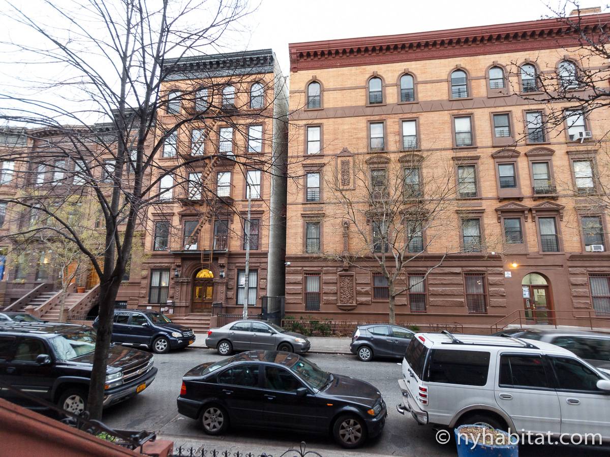 New York Apartment Studio Apartment Rental in Harlem (NY16657)