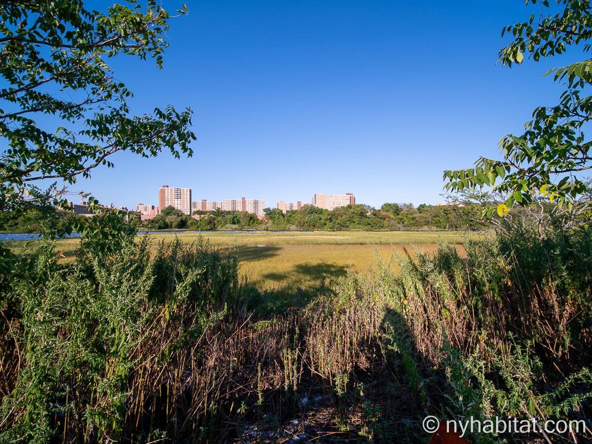 Other - Photo 7 of 7