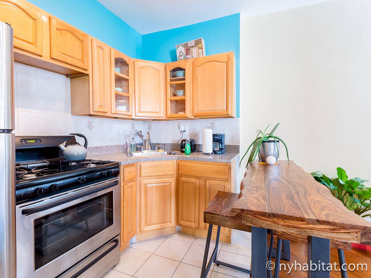 Apartamento en Nueva York - 2 Dormitorios - Flatbush, Brooklyn (NY-17064)