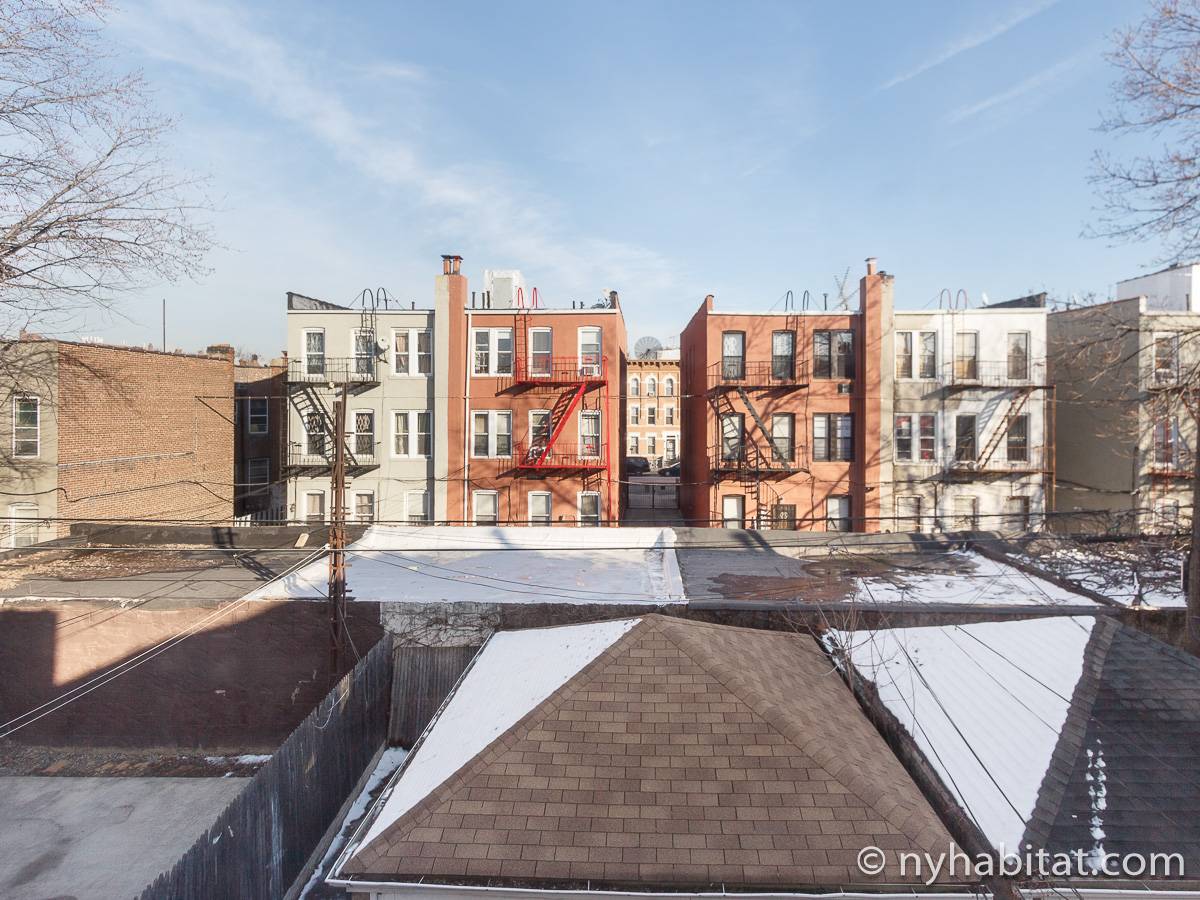 New York Roommate Room for rent in Flatbush, Brooklyn 5 Bedroom apartment (NY17089)