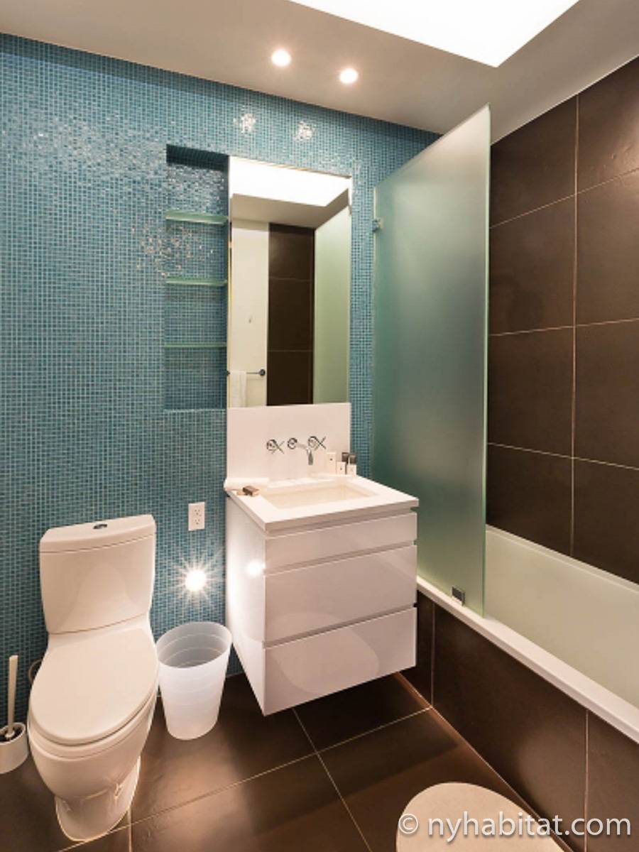 New York Apartment Studio Apartment Rental in Williamsburg (NY17143)