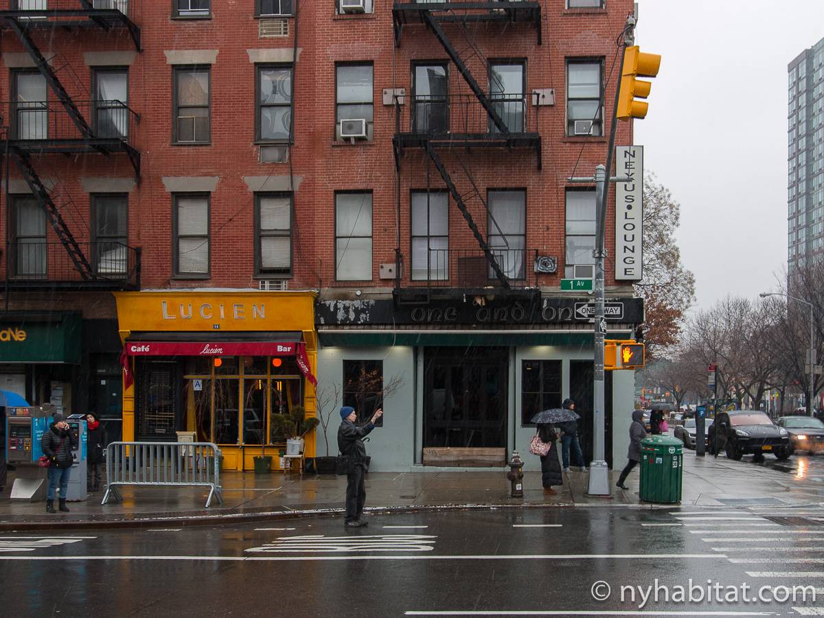 New York Apartment 1 Bedroom Apartment Rental in East Village (NY17366)