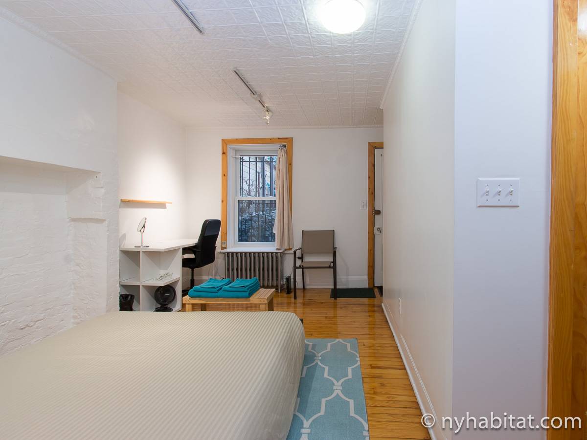 New York 1 Bedroom Apartment Rental in Park Slope (NY17399)