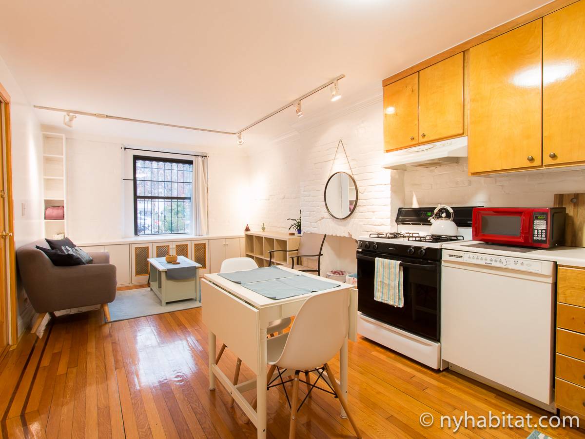 New York 1 Bedroom Apartment Rental in Park Slope (NY17399)