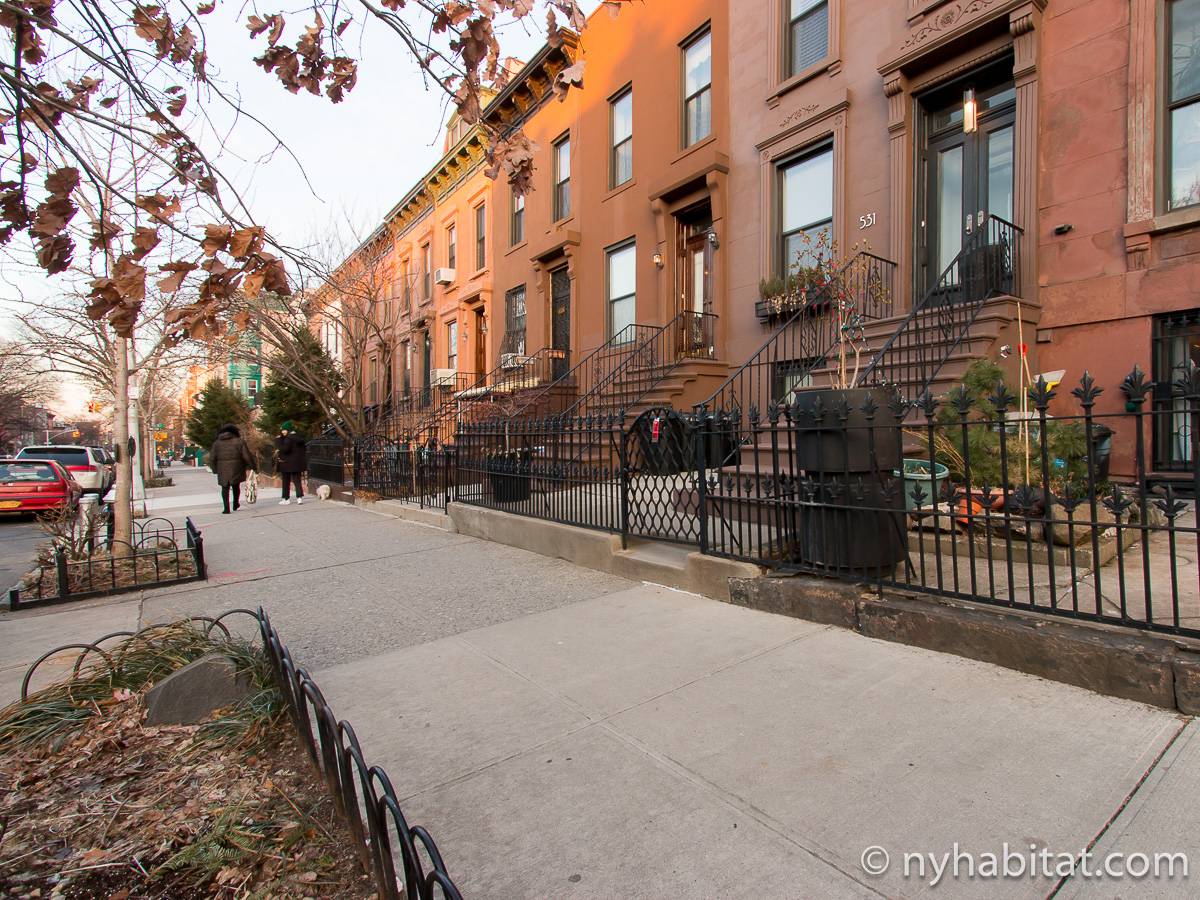 New York 1 Bedroom Apartment Rental in Park Slope (NY17399)