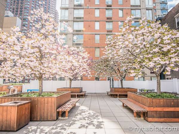 New York Apartment: 1 Bedroom Apartment Rental in Midtown West (NY-17445)