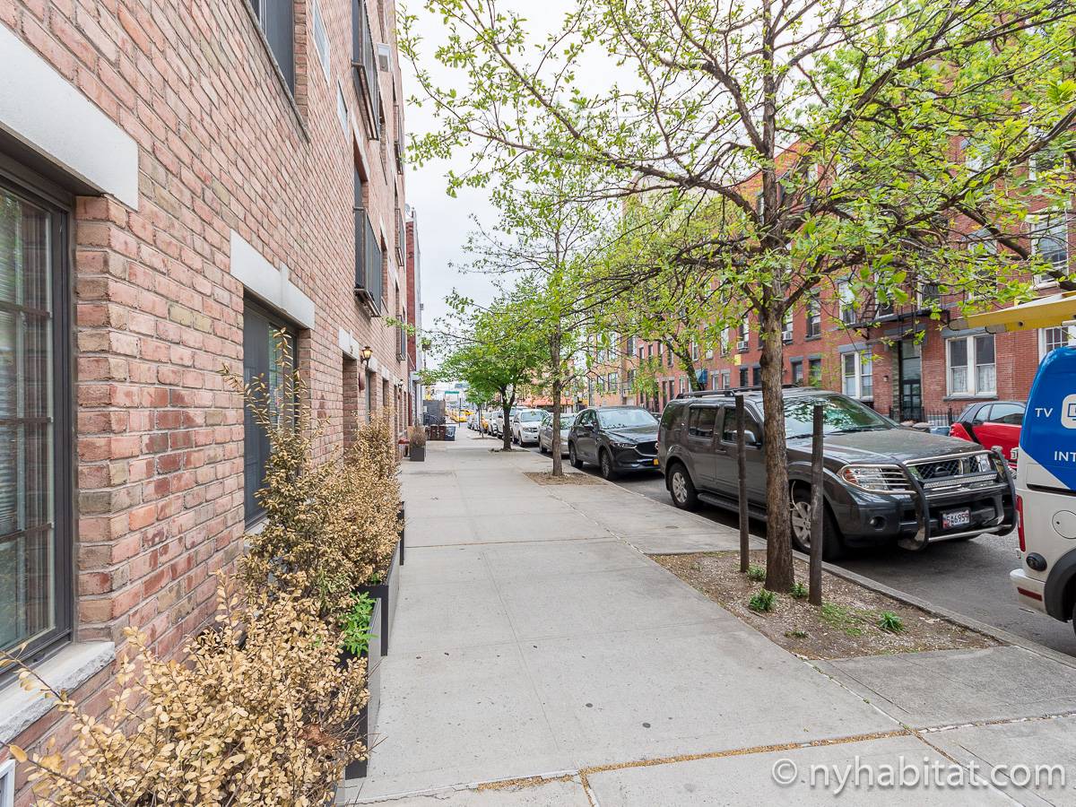 New York Apartment 1 Bedroom Apartment Rental in Greenpoint (NY17528)