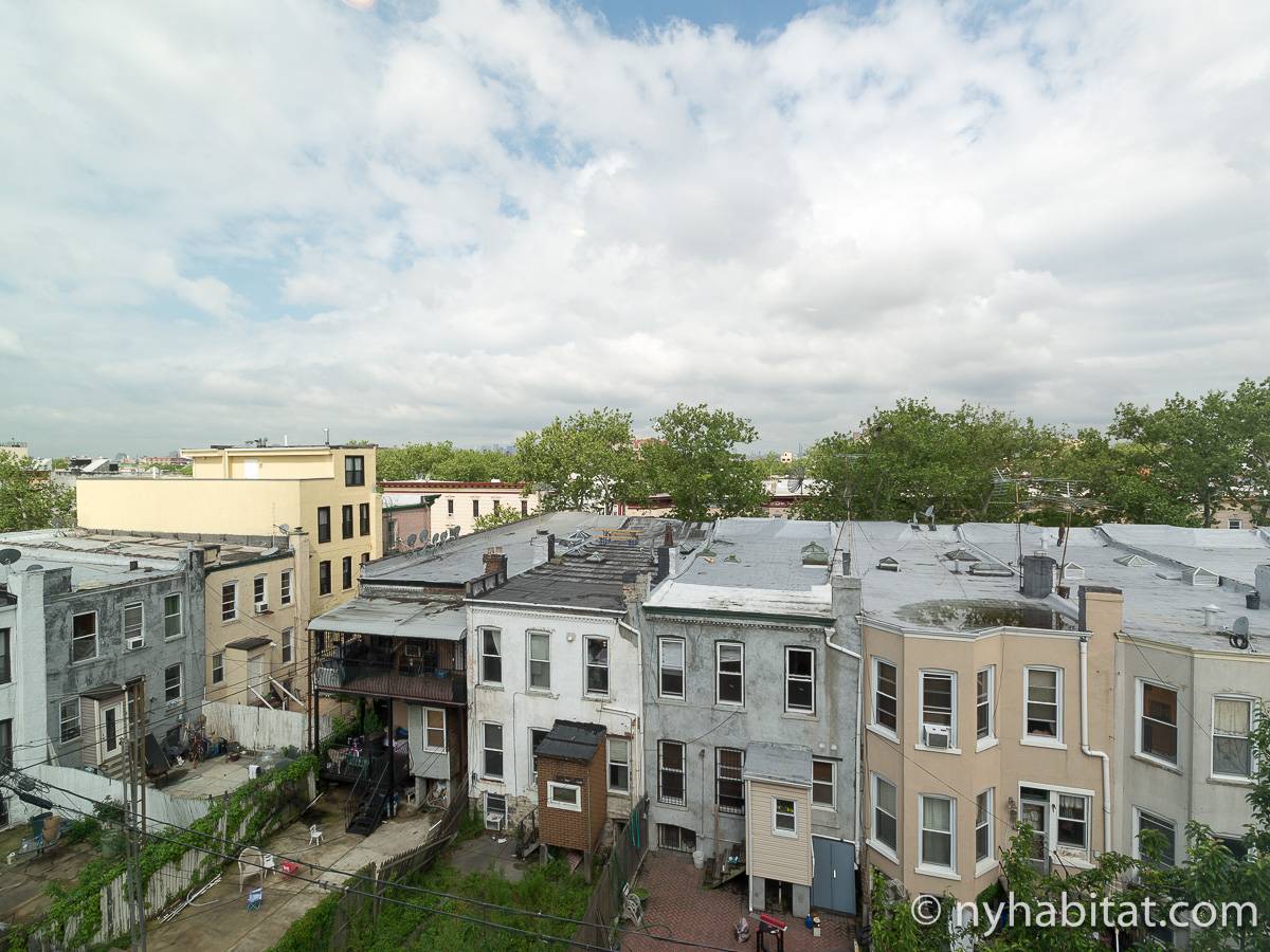 New York Apartment 1 Bedroom Apartment Rental in Bushwick, Brooklyn