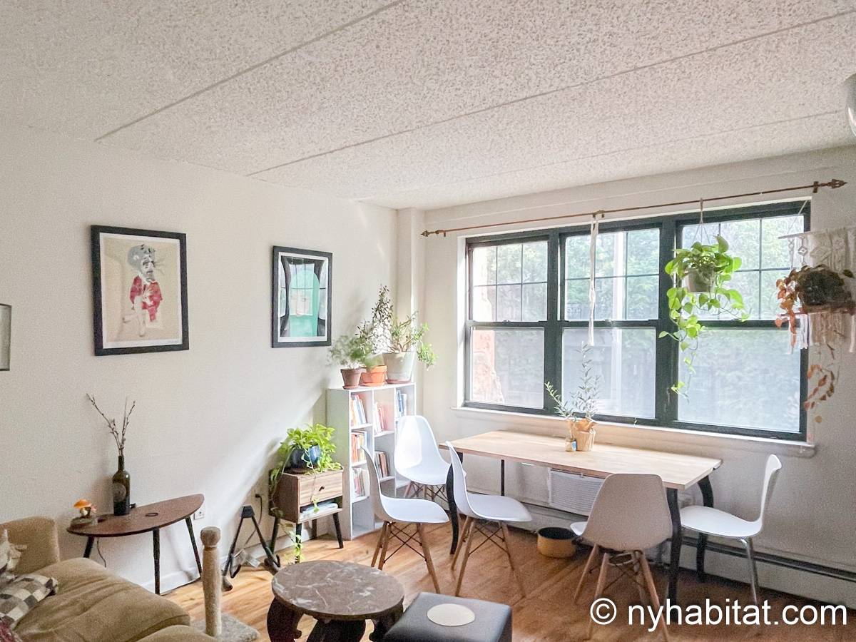 New York - 2 Camere da letto appartamento - Appartamento riferimento NY-17609