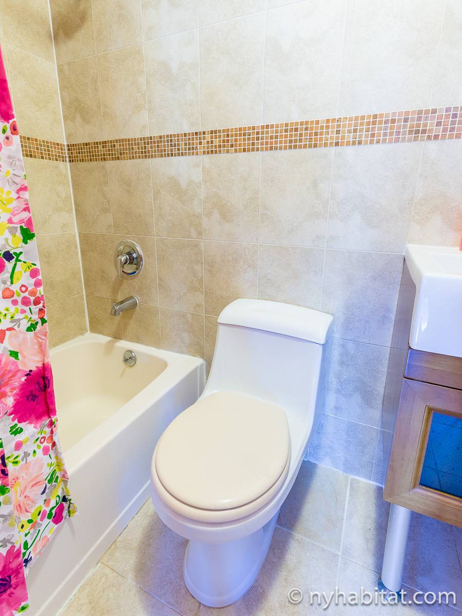 New York Roommate Room for rent in Middle Village, Queens 3 Bedroom apartment (NY17612)