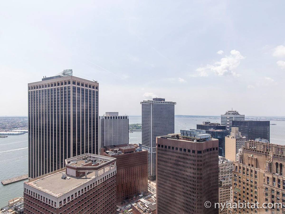 Apartments For Rent In The Financial District
