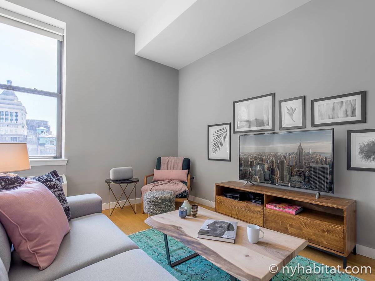 New York Apartment 1 Bedroom Apartment Rental in Financial District