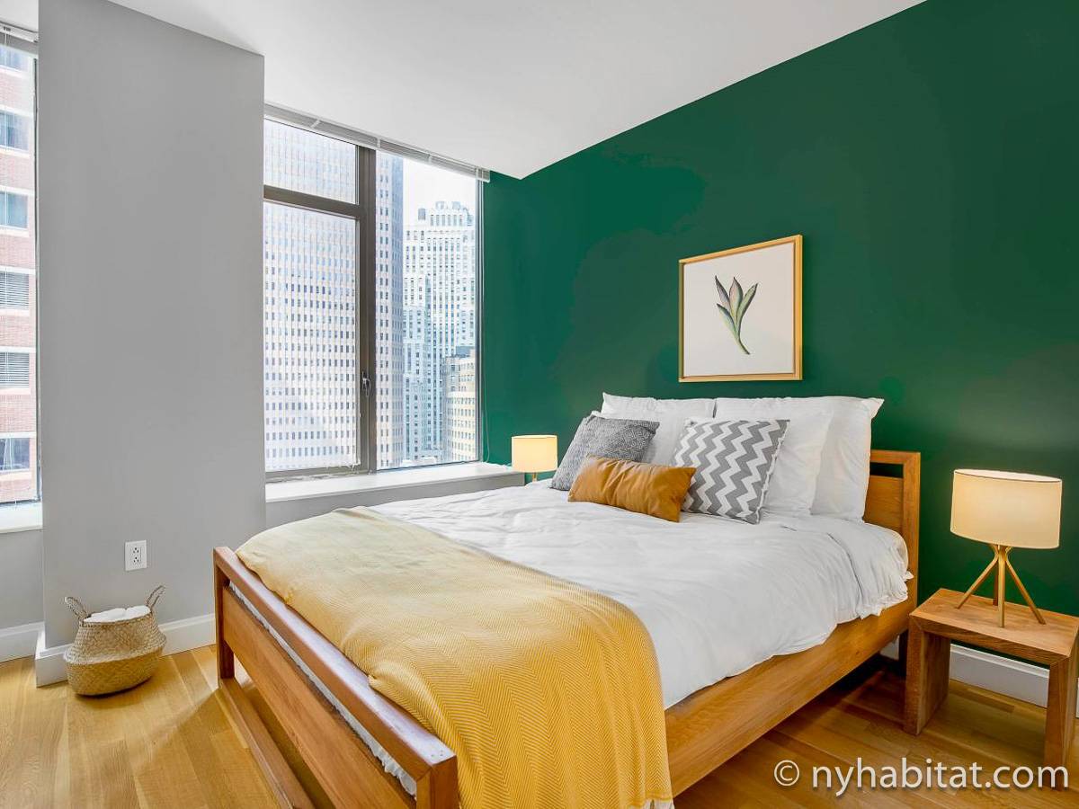 New York Apartment 1 Bedroom Apartment Rental in Financial District
