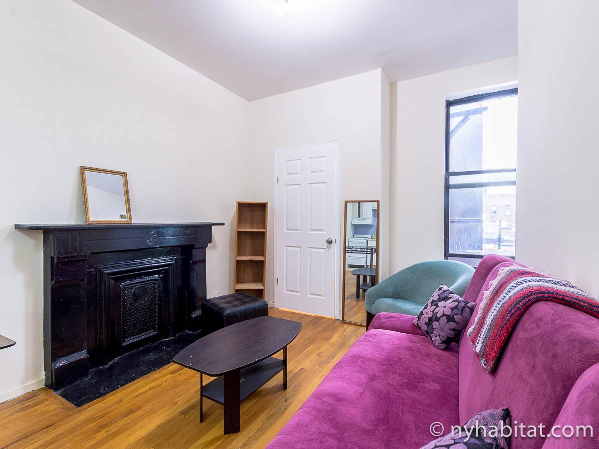 New York - 2 Camere da letto appartamento - Appartamento riferimento NY-17691