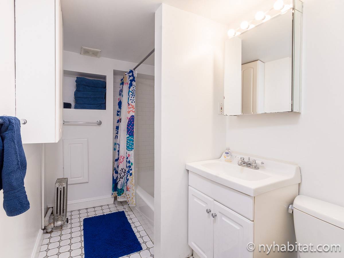 New York Apartment 2 Bedroom Apartment Rental in Brooklyn Heights (NY17723)