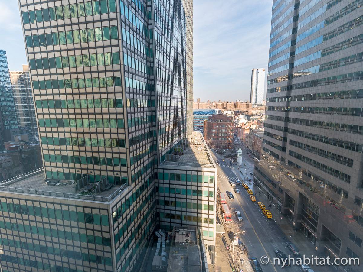 New York Apartment 1 Bedroom Apartment Rental in Financial District