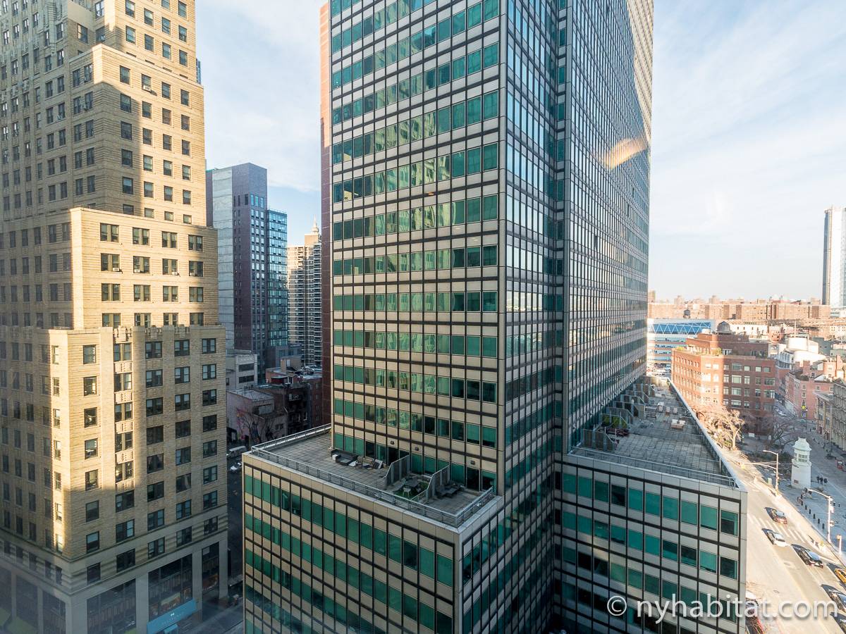 New York Apartment 1 Bedroom Apartment Rental in Financial District