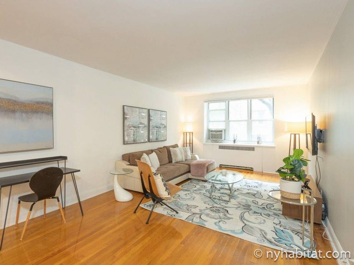 New York Apartment 1 Bedroom Apartment Rental in Midtown West (NY15399)