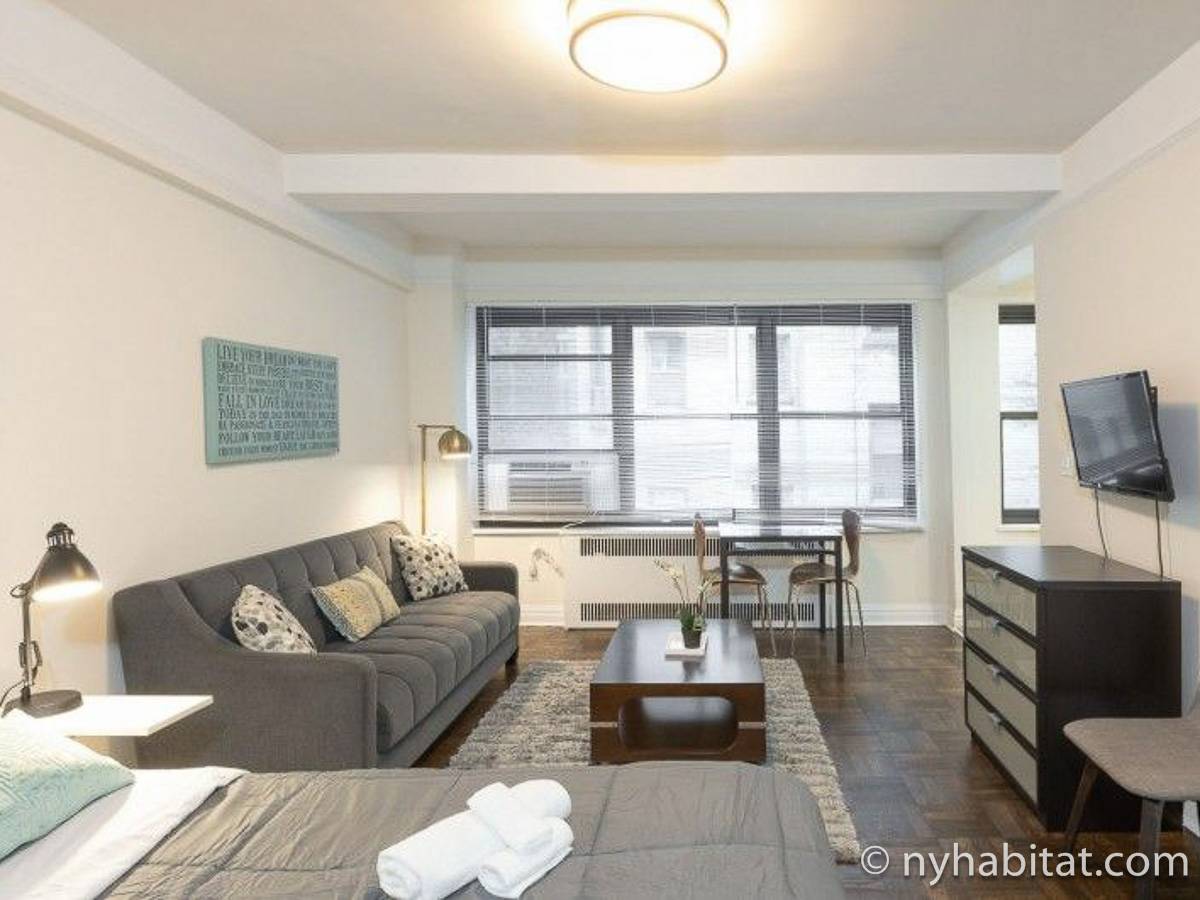 Logement à New York Location meublée Studio T1 Midtown East