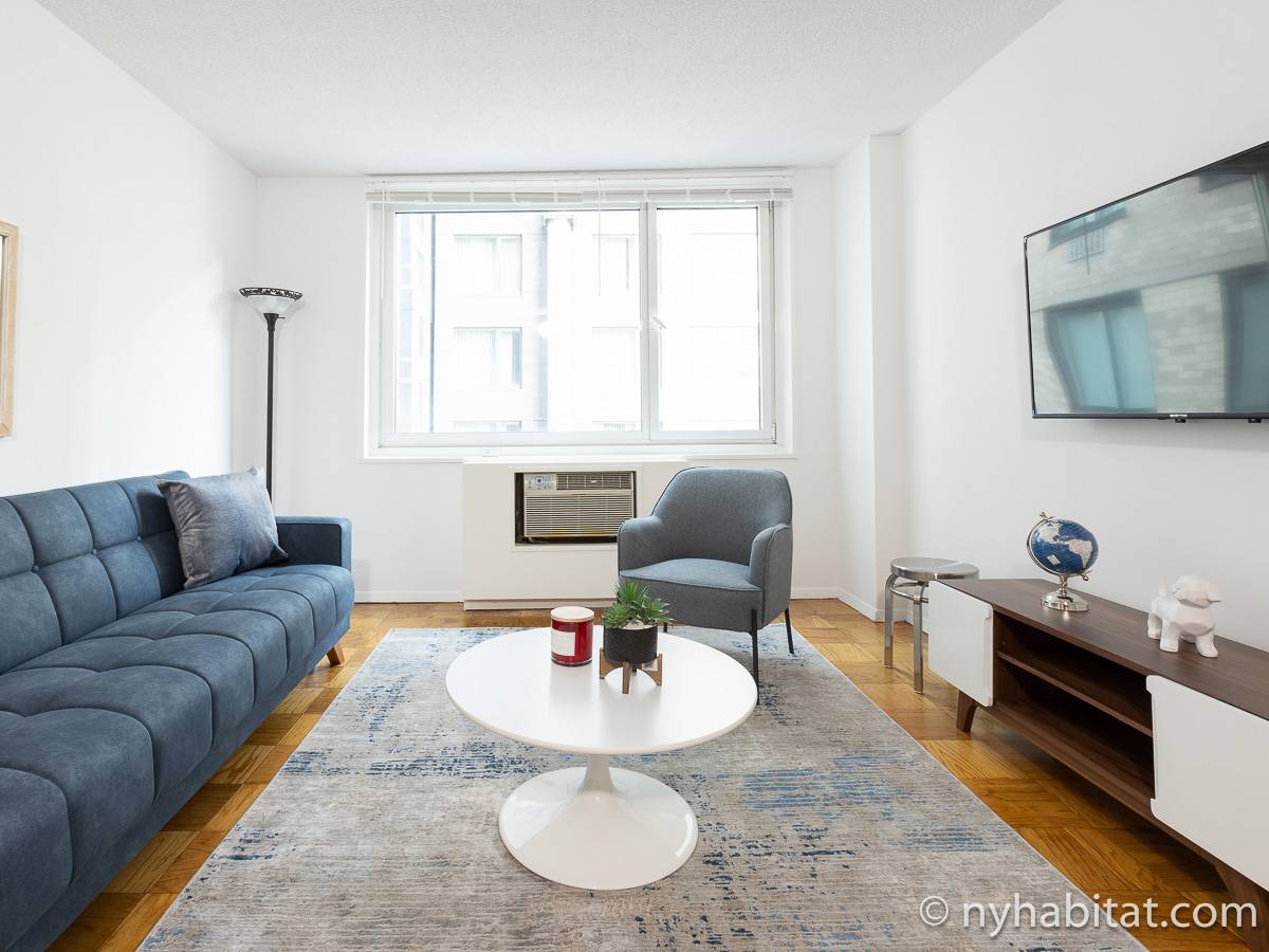 New York Apartment 1 Bedroom Apartment Rental in Midtown West (NY15399)