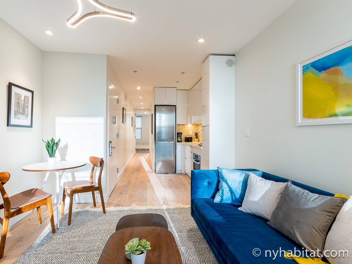 New York Apartment 1 Bedroom Apartment Rental in Chelsea (NY18213)