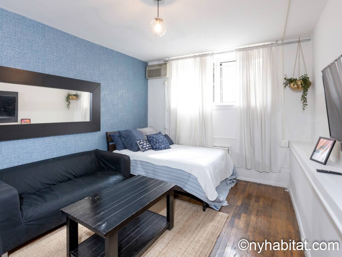 New York Apartment Studio Apartment Rental in Soho (NY18241)