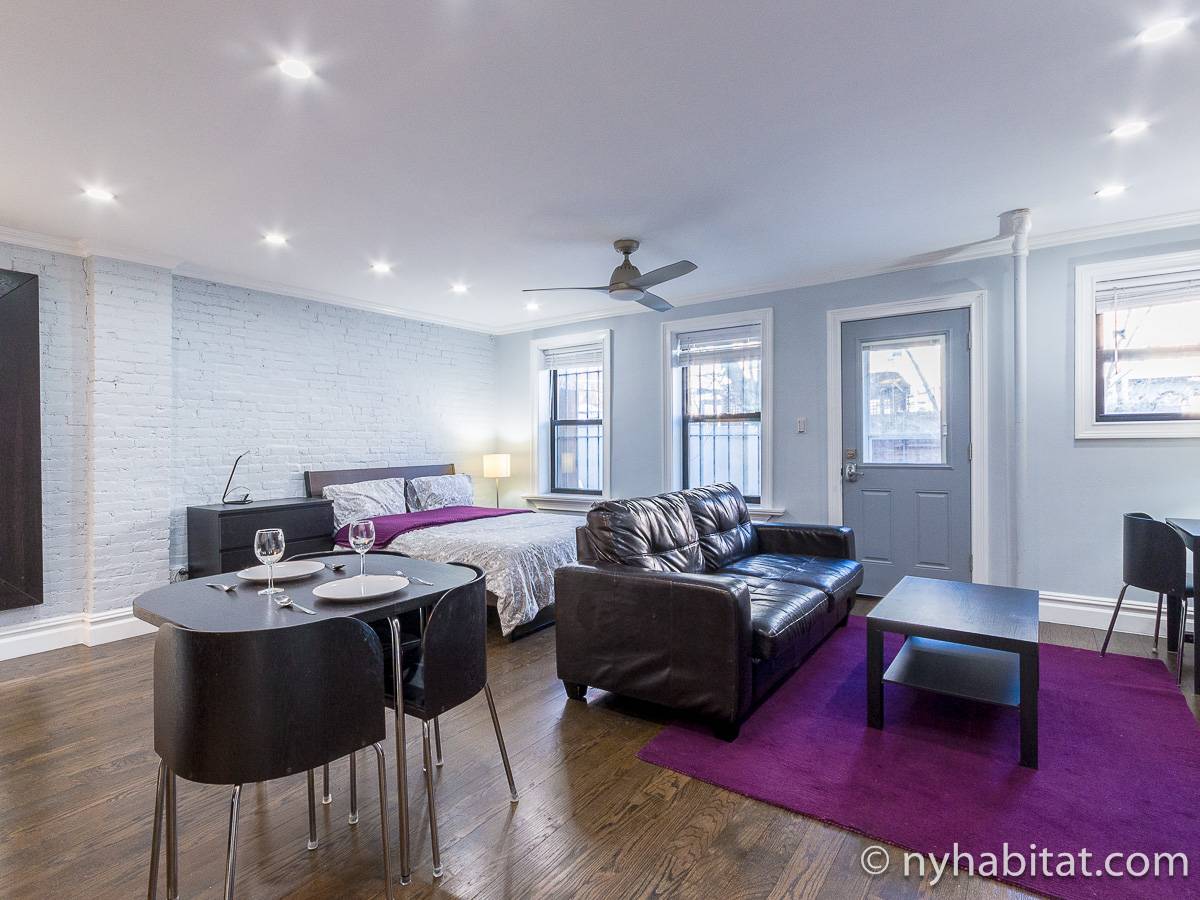 New York Apartment Studio Apartment Rental in Harlem (NY18244)