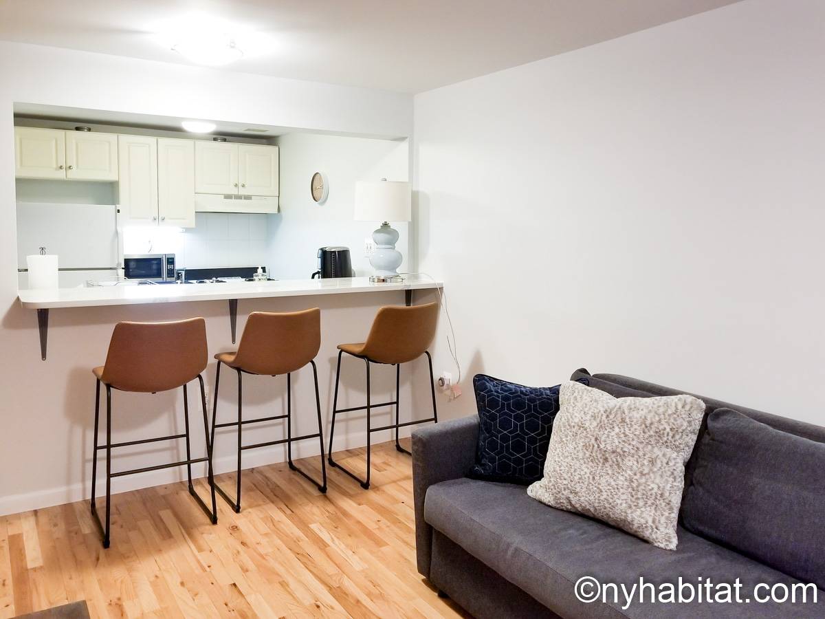 New York Apartment 1 Bedroom Apartment Rental in Harlem (NY18325)