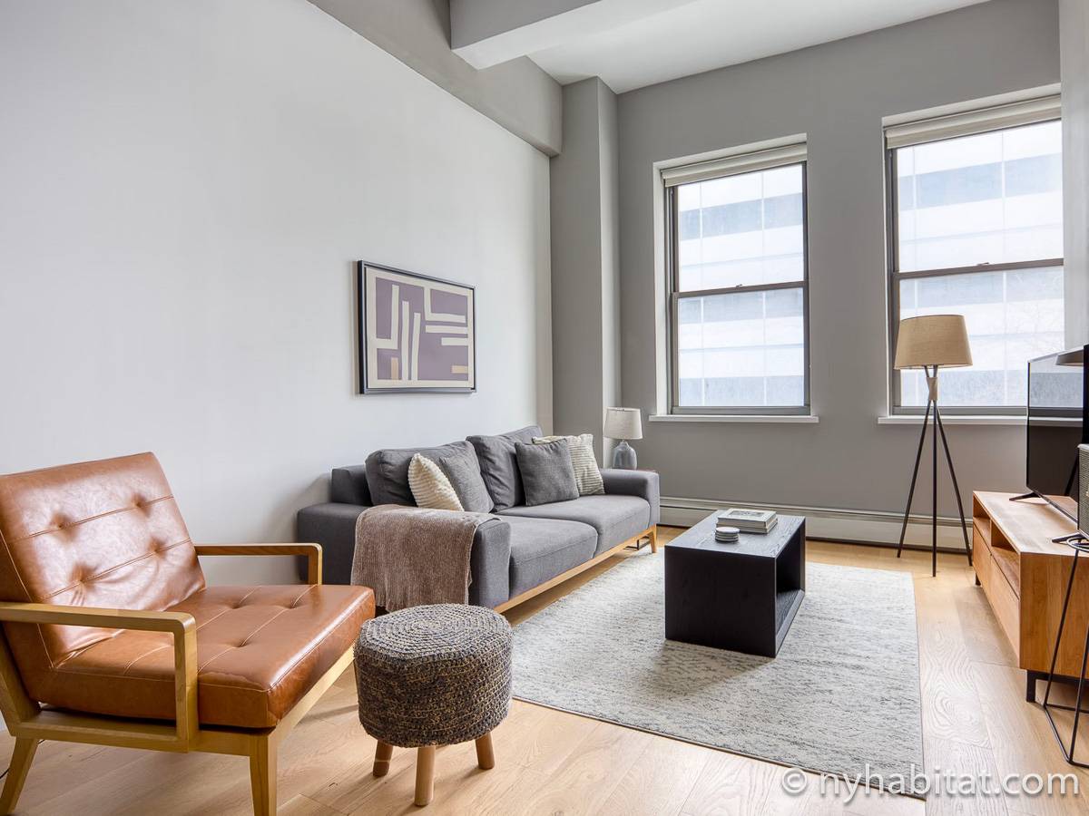 New York - 1 Bedroom apartment - Apartment reference NY-18434