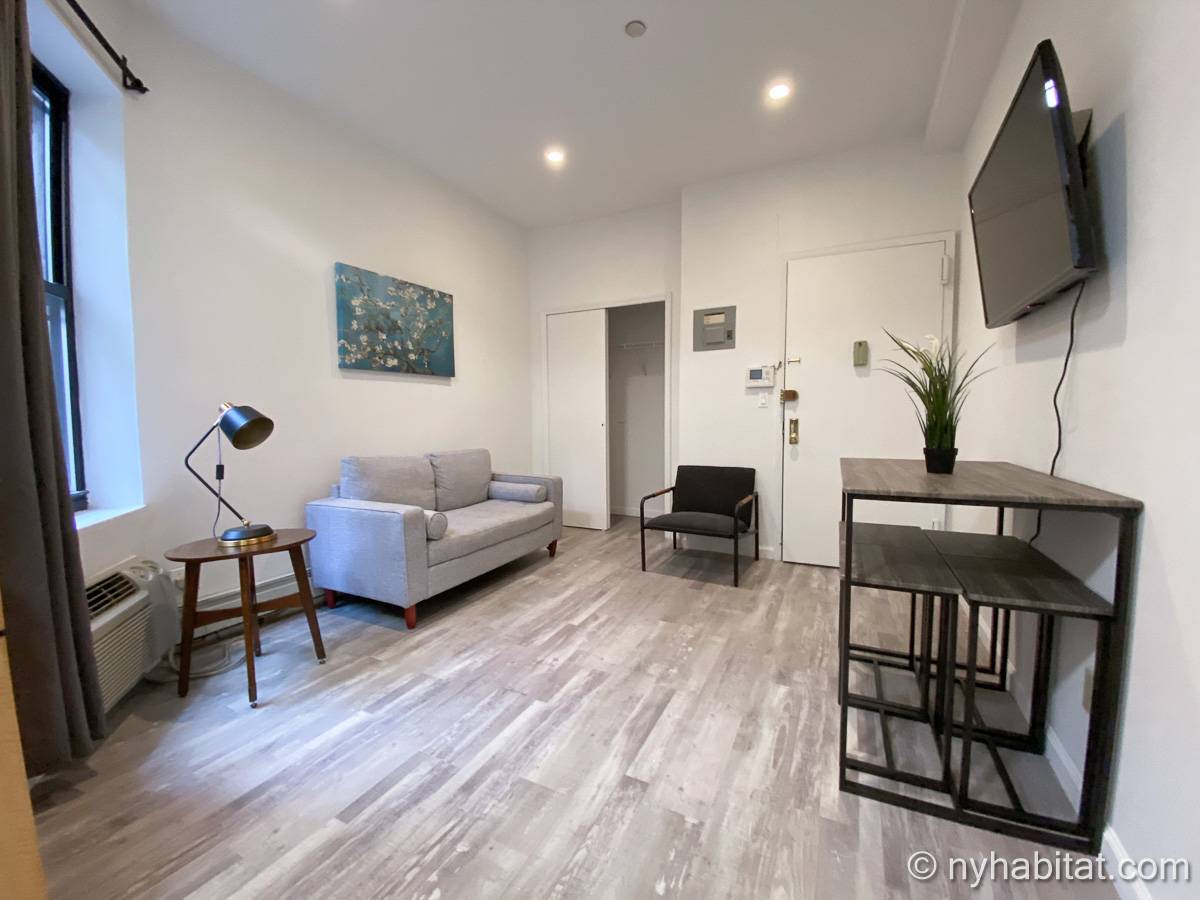 New York - 1 Bedroom apartment - Apartment reference NY-18833