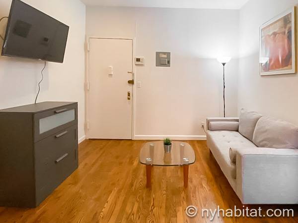New York - 1 Bedroom apartment - Apartment reference NY-18924