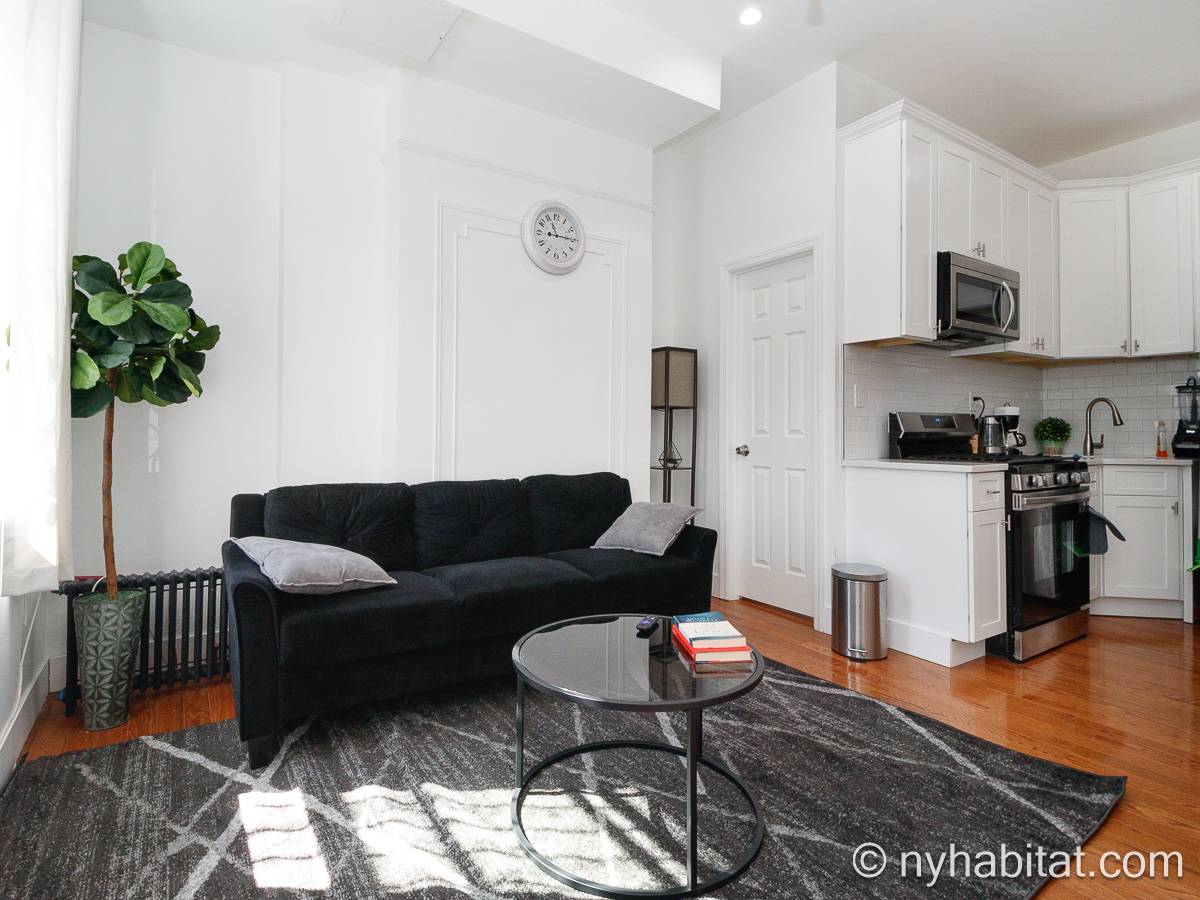 New York - 1 Bedroom apartment - Apartment reference NY-19324