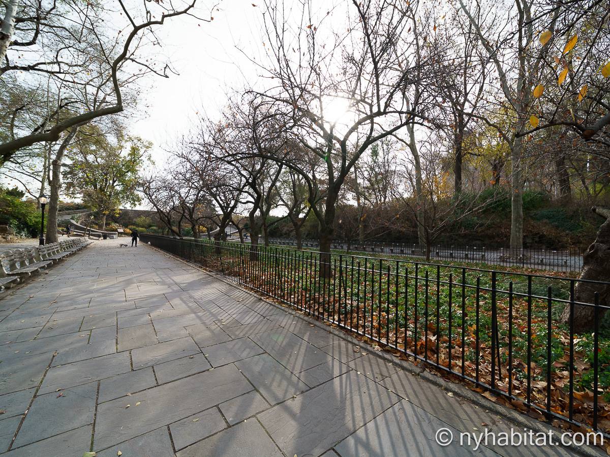 Other - Photo 6 of 14 Other - Photo 6 of 14