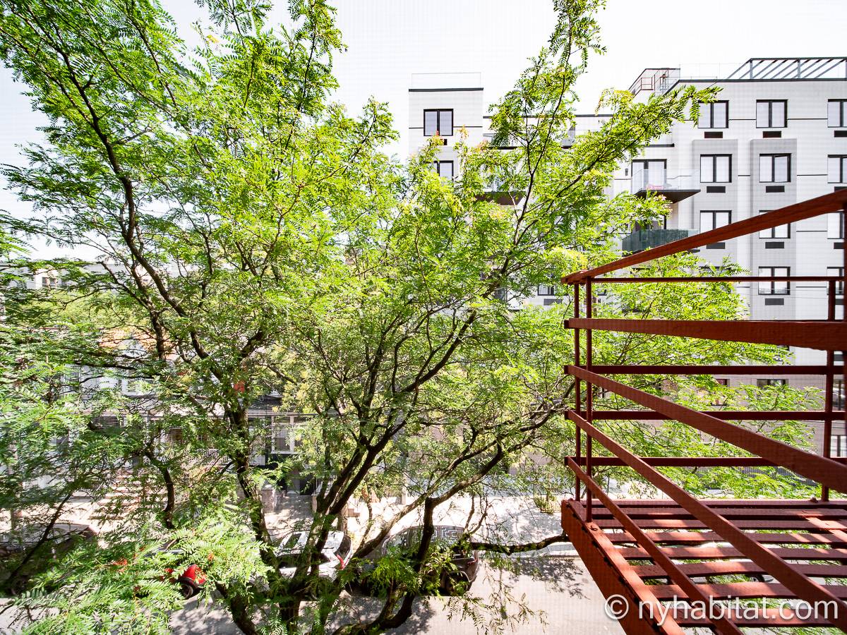 Autre - Photo 15 sur 18