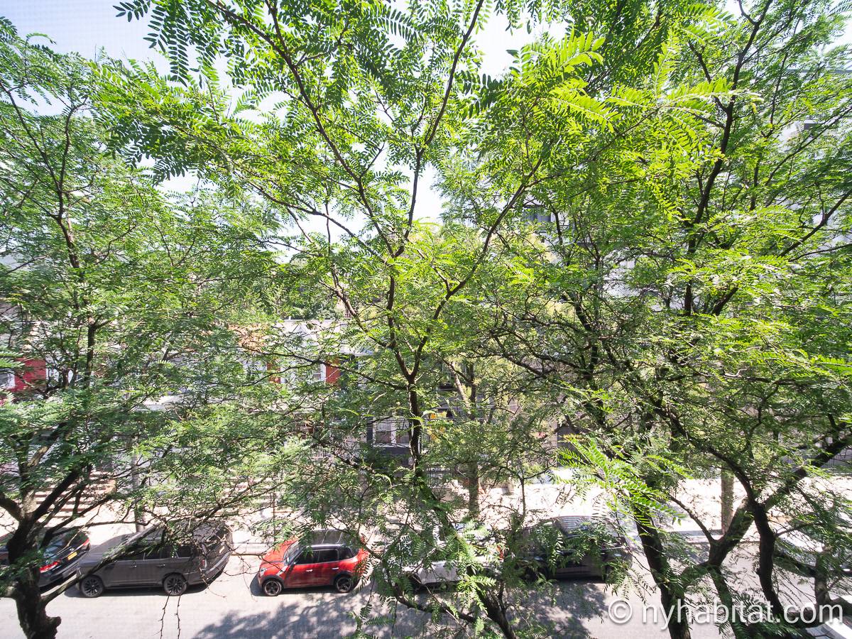 Autre - Photo 14 sur 18