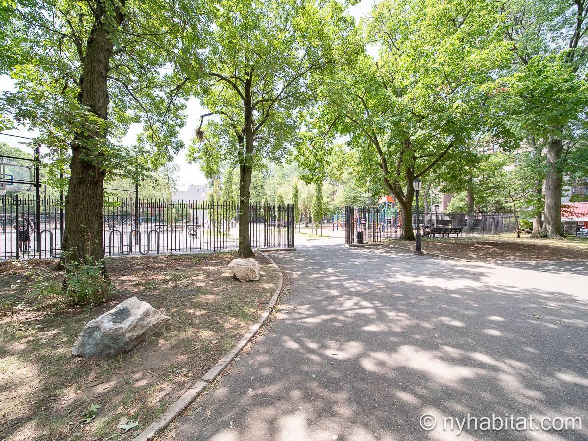 Autre - Photo 12 sur 18