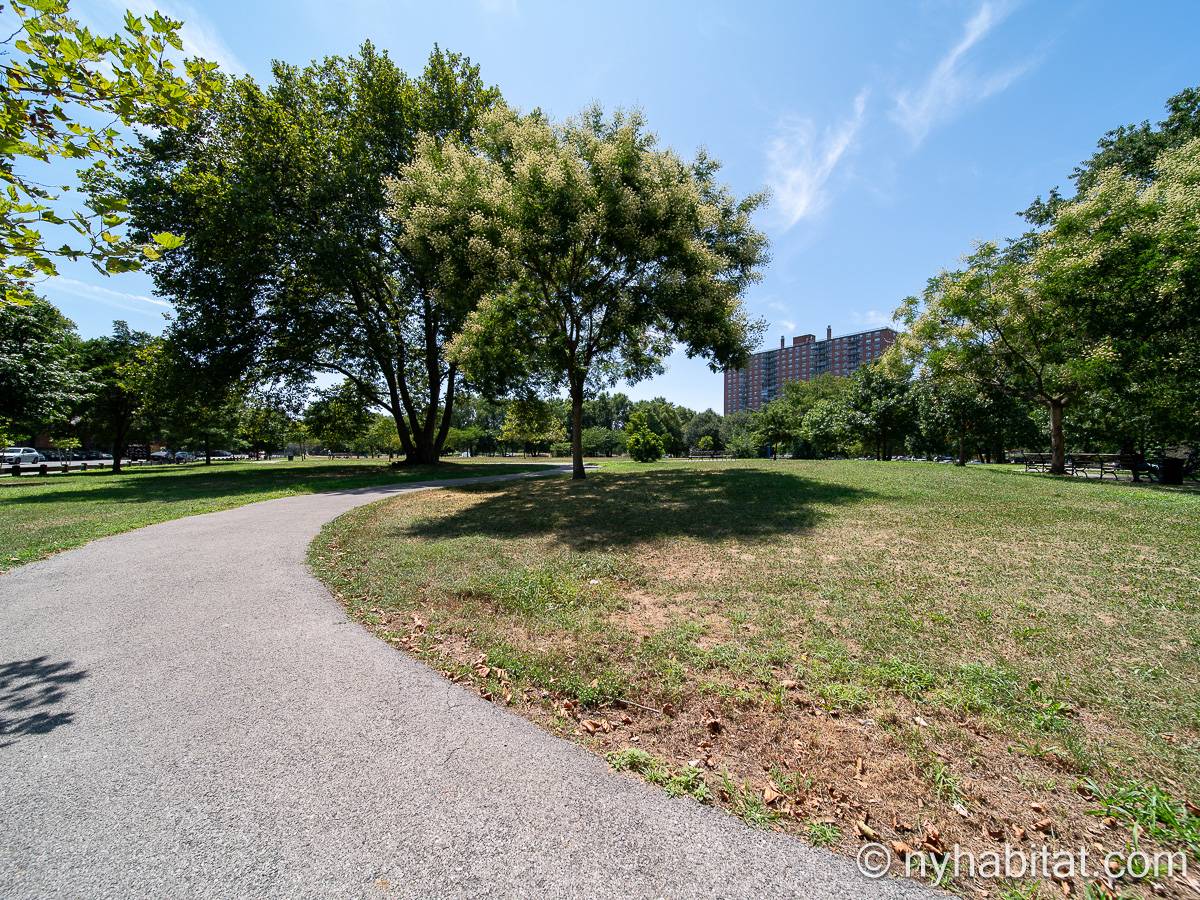 Other - Photo 3 of 8