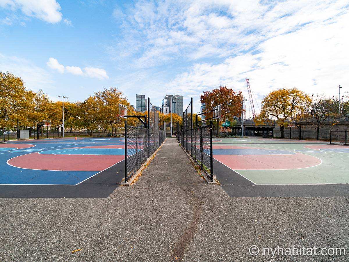 Altro - Photo 12 di 12