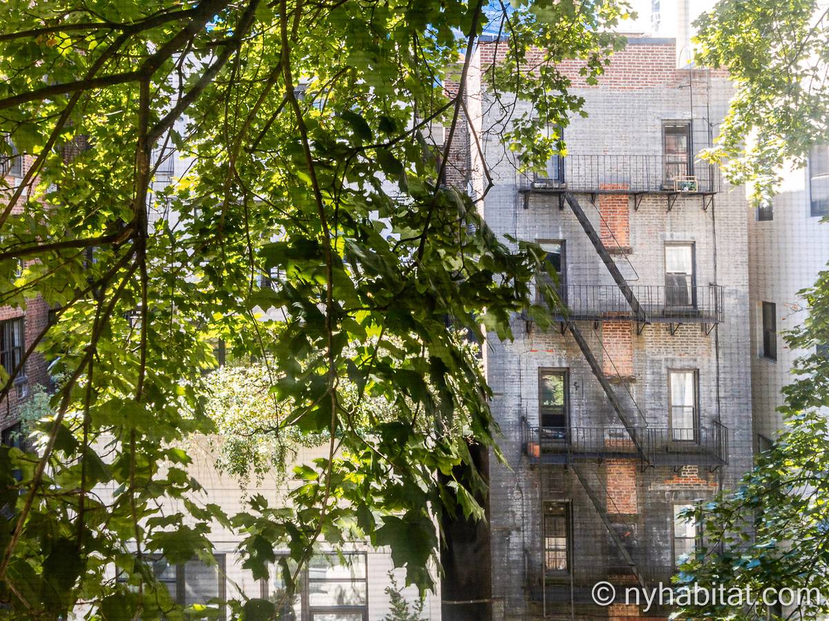 Living room - Photo 6 of 6