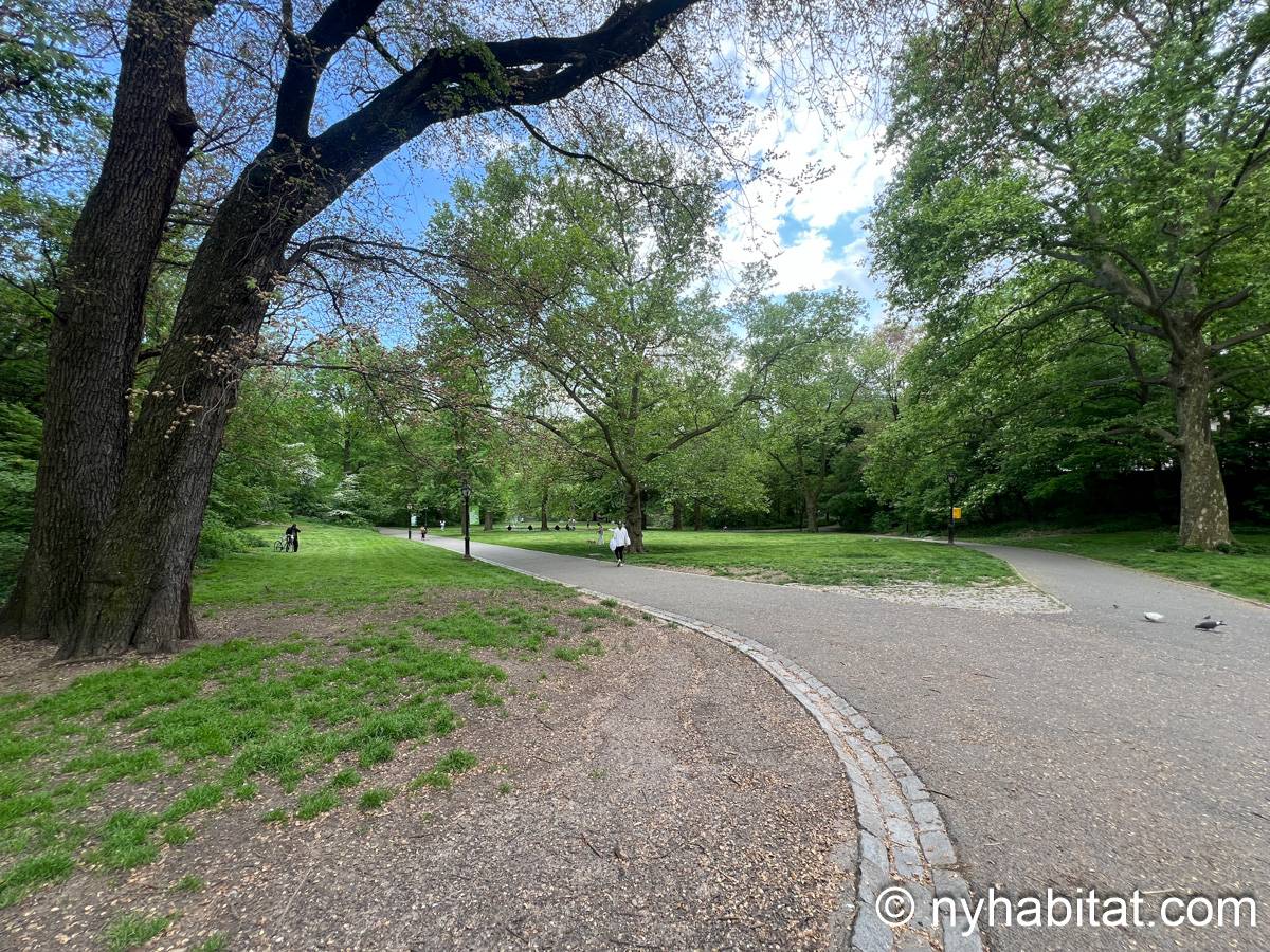 Other - Photo 6 of 11