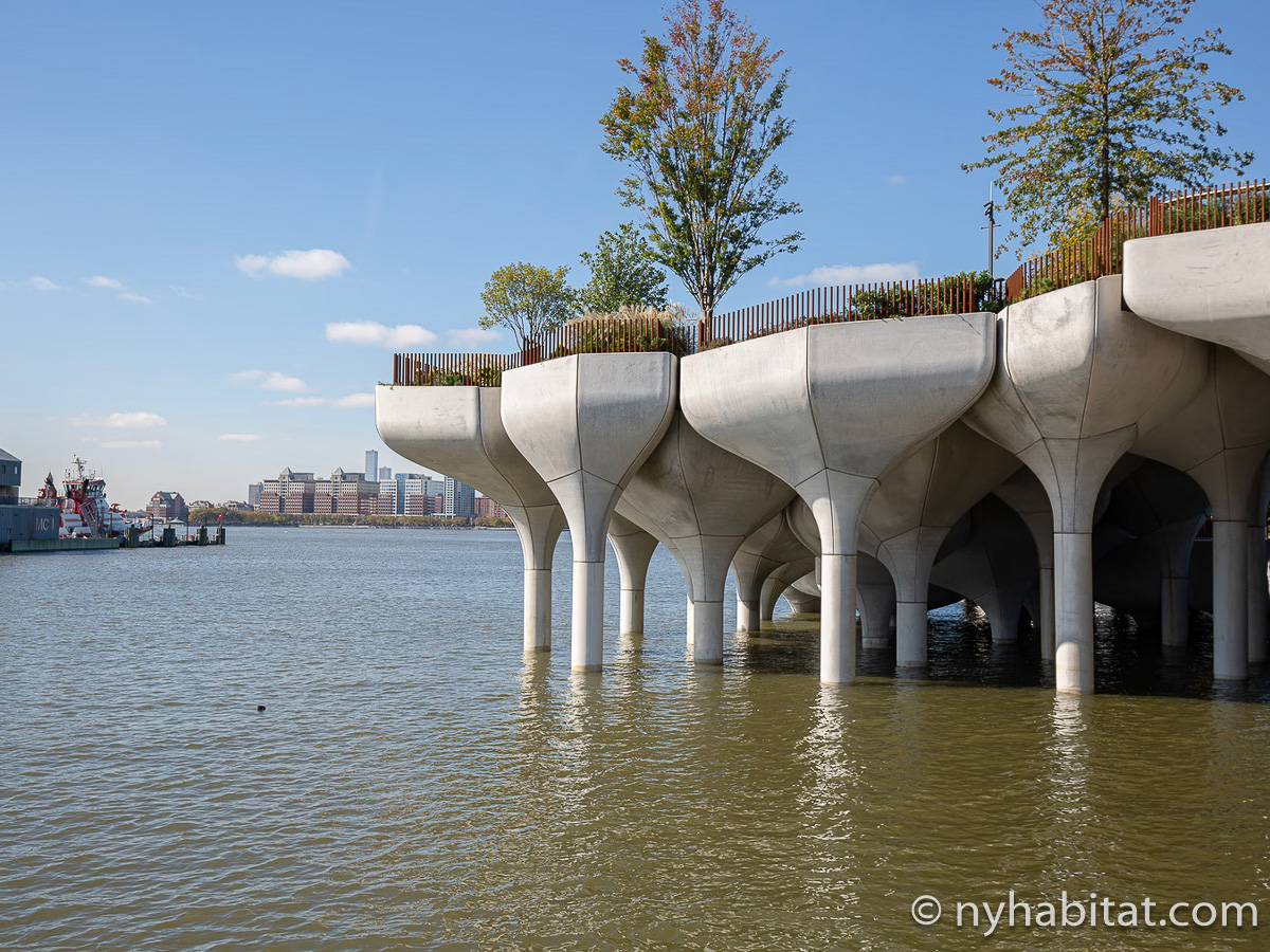 Other - Photo 19 of 21 Other - Photo 19 of 21