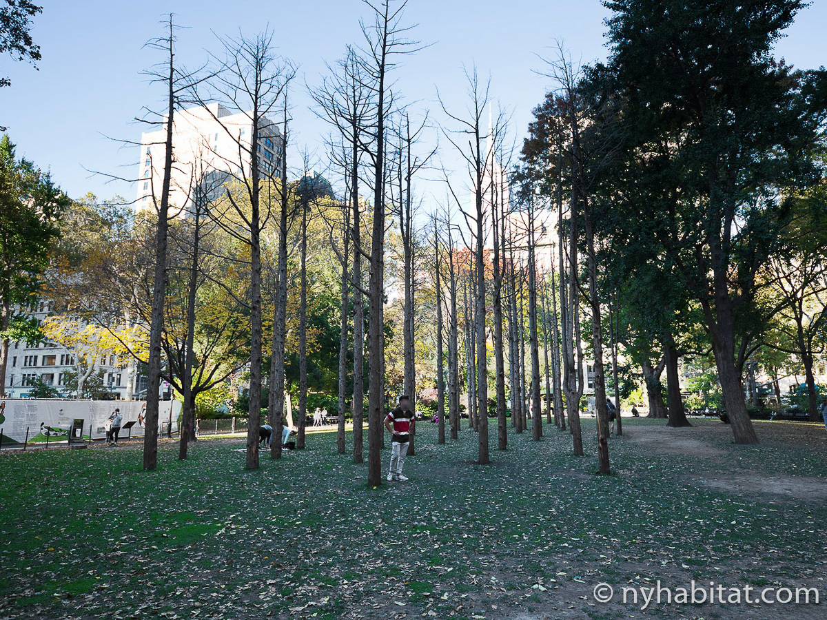 Other - Photo 15 of 21 Other - Photo 15 of 21