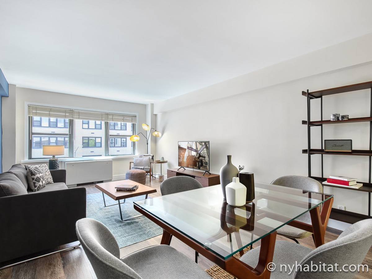 New York - 1 Bedroom apartment - Apartment reference NY-20491