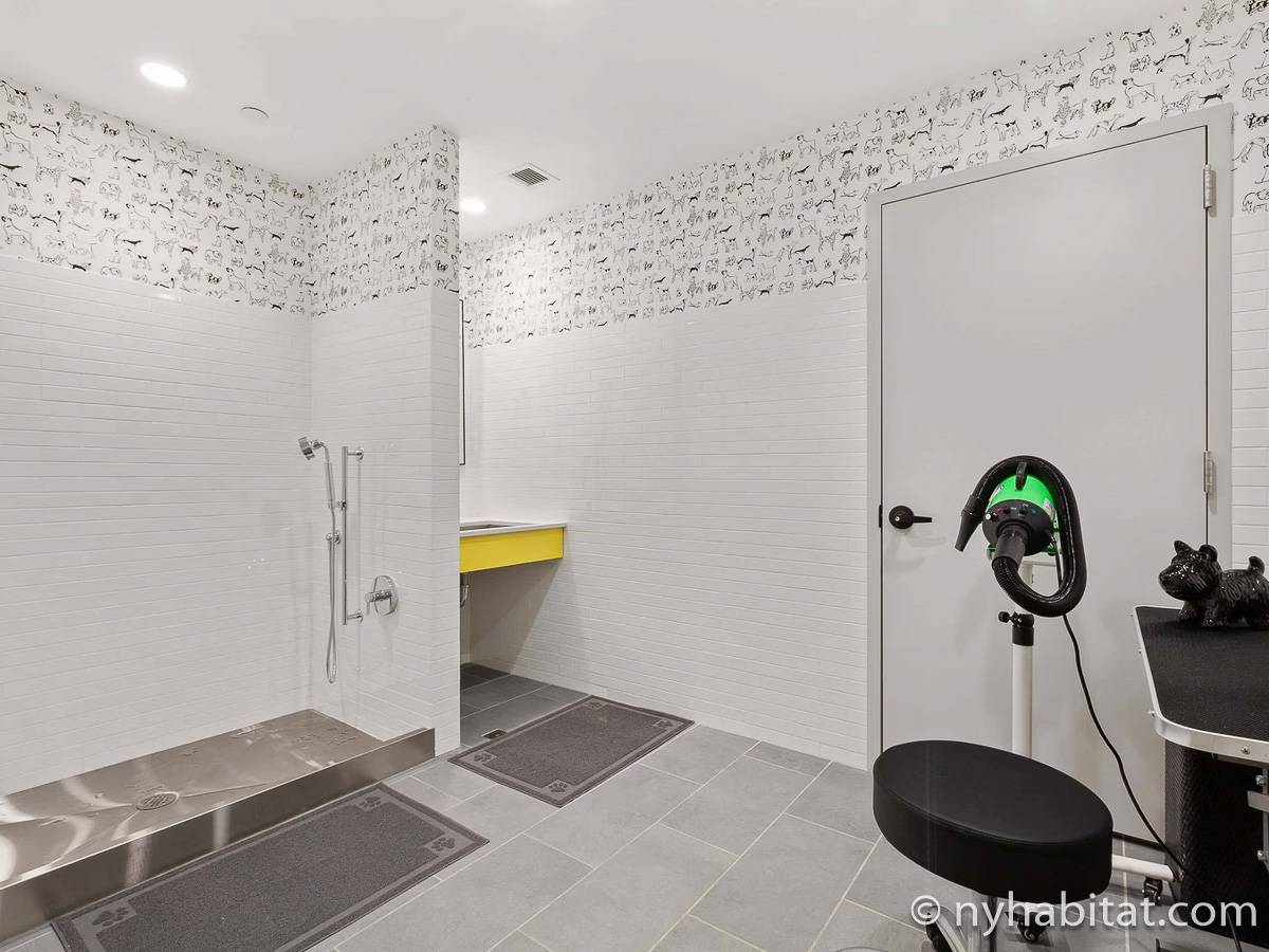 Other - Photo 4 of 22