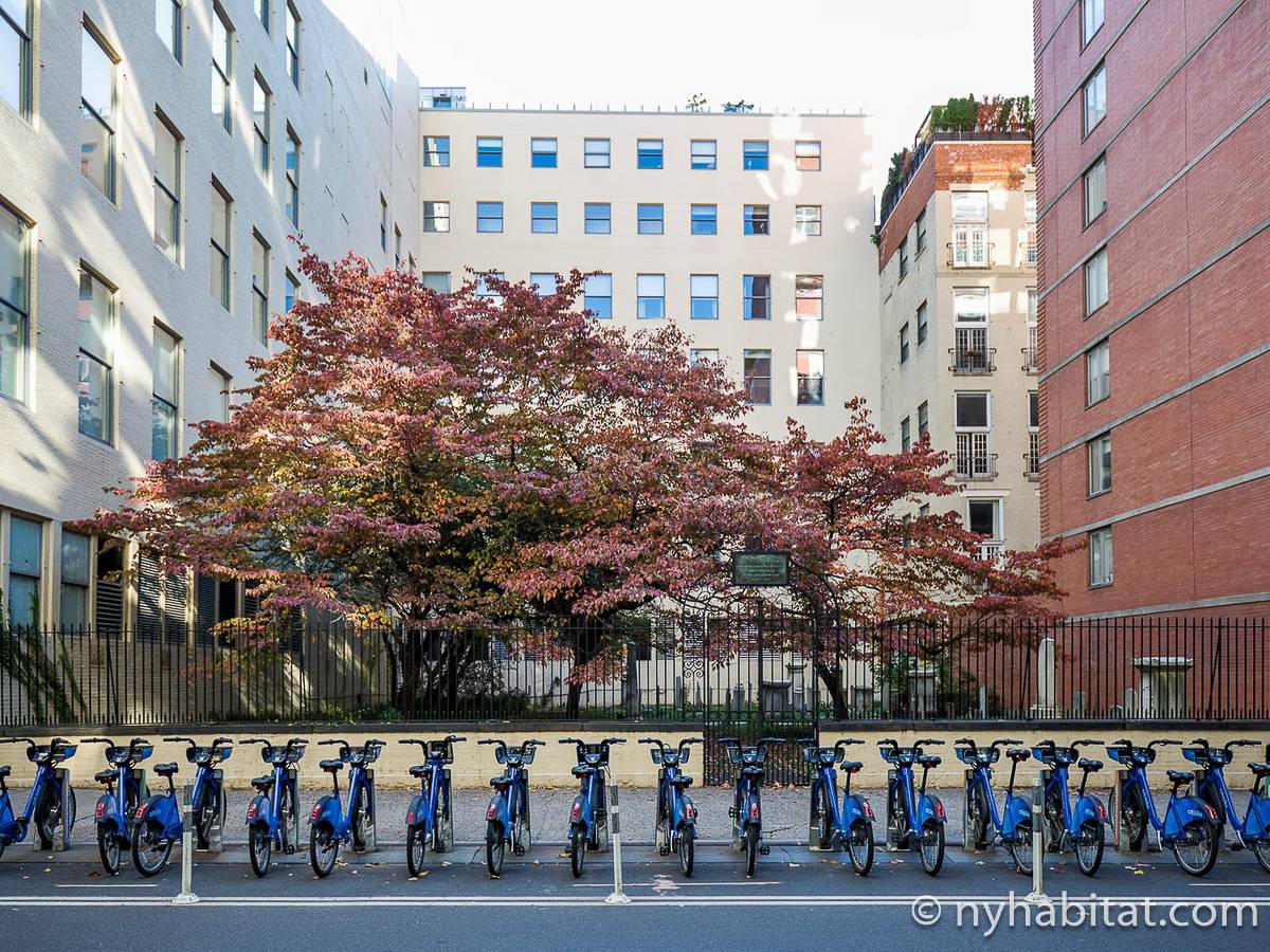 Other - Photo 18 of 22