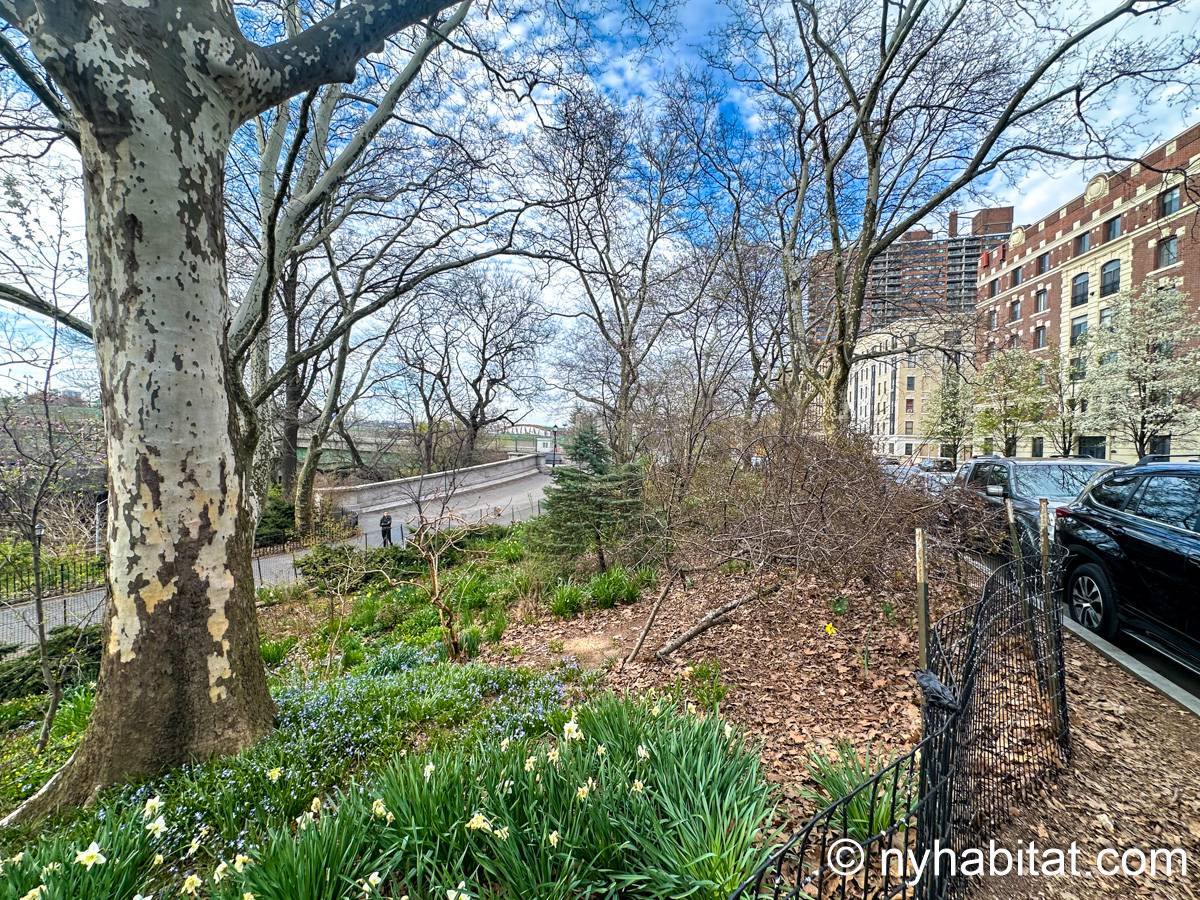 Other - Photo 6 of 9 Other - Photo 6 of 9