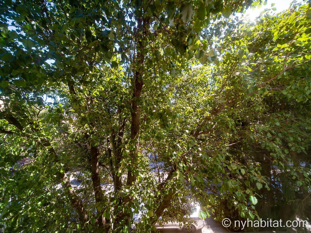 Living room - Photo 7 of 7