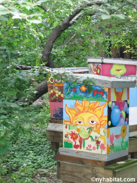 Otras - Photo 2 de 9