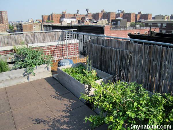 Otras - Photo 4 de 9