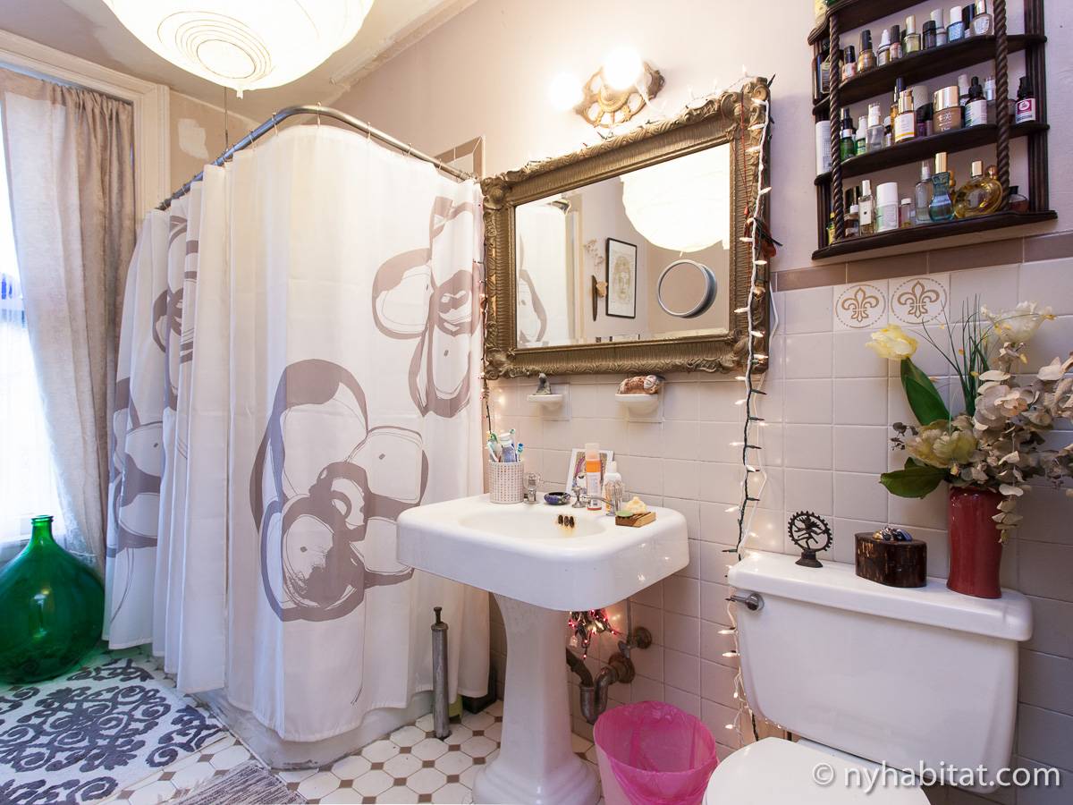 New York Bed And Breakfast 2 Bedroom Duplex Apartment Rental in Park